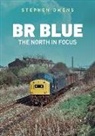 Stephen Owens - BR Blue: The North in Focus