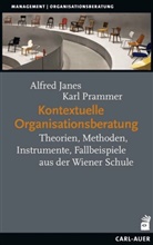 Alfre Janes, Alfred Janes, Karl Prammer - Kontextuelle Organisationsberatung
