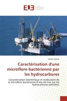 Samar Lahmar - Caractérisation d'une microflore bactérienne par les hydrocarbures