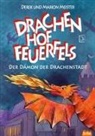 Derek Meister, Mario Meister, Marion Meister - Drachenhof Feuerfels - Band 3