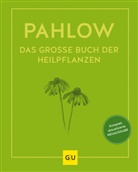 Mannfried Pahlow - Das große Buch der Heilpflanzen