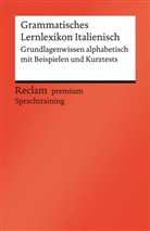 Valerio Vial - Grammatisches Lernlexikon Italienisch. Grundlagenwissen alphabetisch mit Beispielen und Kurztests