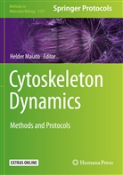 Helde Maiato, Helder Maiato - Cytoskeleton Dynamics