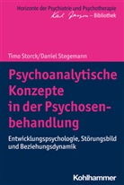 Daniel Stegemann, Tim Storck, Timo Storck, Matthias Bormuth, Andrea Heinz, Andreas Heinz... - Psychoanalytische Konzepte in der Psychosenbehandlung