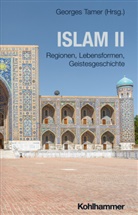 Pete Antes, Peter Antes, Manfred Hutter, Manfred Hutter u a, Jörg Rüpke, Bettina Schmidt... - Islam II