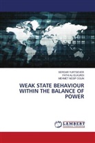 FATHI ALI ELKURDI, Mehmet Nesip Ogun, Serdar Yurtsever - WEAK STATE BEHAVIOUR WITHIN THE BALANCE OF POWER