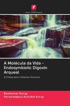 Parameswara Achutha Kurup, Ravikumar Kurup - A Molécula da Vida - Endosymbiotic Digoxin Arqueal
