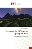 Abdoulaye SANOGO - Les maux de l'Afrique en quelques mots