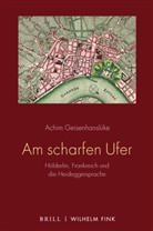 Achim Geisenhanslüke - Am scharfen Ufer
