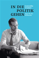 Conradin Cramer - In die Politik gehen