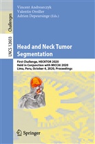 Vincent Andrearczyk, Adrien Depeursinge, Valenti Oreiller, Valentin Oreiller - Head and Neck Tumor Segmentation