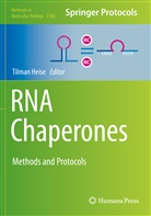 Tilma Heise, Tilman Heise - RNA Chaperones