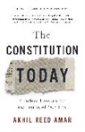 Akhil Amar, Akhil Reed Amar - Constitution Today