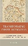 Yi Wang, Wang Yi - Transforming Inner Mongolia