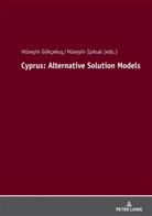 Hüseyin Gökçeku¿, Hüseyin Gökçekus, Huseyin Isiksal - Cyprus: Alternative Solution Models