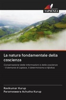 Parameswara Achutha Kurup, Ravikumar Kurup - La natura fondamentale della coscienza