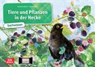 Katharina Stöckl, Katharina Stöckl-Bauer, Monika Klars - Tiere und Pflanzen in der Hecke. Kamishibai Bildkartenset