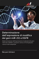 Maryam Esfidani - Determinazione dell'espressione di modifica dei geni miR-212 e EGFR