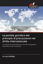 Arnold Niemba - La portata giuridica del principio di precauzione nel diritto internazionale