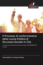 Jacqueline Crespo  Amigo, Jacqueline Crespo Amigo - Il Processo di conformazione della nuova Politica di Sicurezza Sociale in Cile