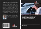 Mustafa K¿l¿ç, Mustafa Kiliç - Indagine e miglioramento delle aree di visione del guidatore nel traffico