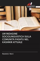 Neelofar Wani - UN'INDAGINE SOCIOLINGUISTICA SULLA COMUNITÀ PASHTU NEL KASHMIR ATTUALE