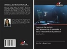 Ana Maria Revelo Endo - Ingegneria sociale dell'economia di mercato e della meccanica di potenza