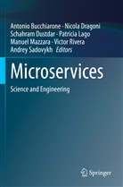 Antonio Bucchiarone, Nicol Dragoni, Nicola Dragoni, Schahram Dustdar, Schahram Dustdar et al, Patricia Lago... - Microservices