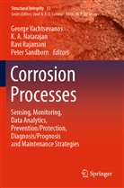 A Natarajan, K A Natarajan, K. A. Natarajan, Ravi Rajamani, Ravi Rajamani et al, Peter Sandborn... - Corrosion Processes