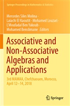 L'Moufadal Ben Yakoub, Mohamed Benslimane, Laiach El Kaoutit, Laiachi El Kaoutit, Mohamed Louzari, Mohamed Louzari et al... - Associative and Non-Associative Algebras and Applications