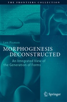 Len Pismen - Morphogenesis Deconstructed
