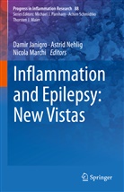 Damir Janigro, Nicola Marchi, Astri NEHLIG, Astrid NEHLIG - Inflammation and Epilepsy: New Vistas