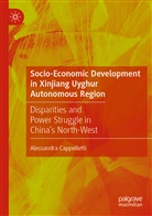Alessandra Cappelletti - Socio-Economic Development in Xinjiang Uyghur Autonomous Region