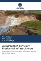 A A Asemanya, A. A Asemanya, O Inyang, O E Inyang, O. E Inyang, O Makyur... - Auswirkungen der Gully-Erosion auf Infrastrukturen