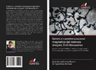 Syed Jamal Ahmed Kazmi, Dr. Syed Raza Ali Raza, Syed Raza Ali Raza - Sintesi e caratterizzazione magnetica del bismuto drogato ZnO Nanowires