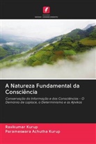 Parameswara Achutha Kurup, Ravikumar Kurup - A Natureza Fundamental da Consciência