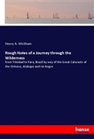 Henry A. Wickham - Rough Notes of a Journey through the Wilderness