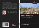 Layachi BERREDJEM - Malte di sabbia riciclata
