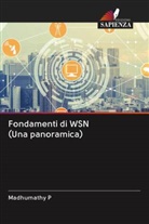 Madhumathy P - Fondamenti di WSN (Una panoramica)