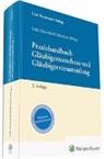 Marcus Köhler, Marc Alexander Göb, Frank Pollmächer, Feri Schnieders, Ferit Schnieders, Ferit Schnieders (Dr.) - Praxishandbuch Gläubigerausschuss und Gläubigerversammlung