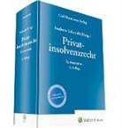 Andrea Schmidt, Andreas Schmidt - Privatinsolvenzrecht - Kommentar