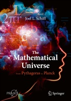 Joel L Schiff, Joel L. Schiff - The Mathematical Universe