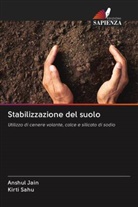 Anshul Jain, Kirti Sahu - Stabilizzazione del suolo