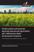 Anbessie Debebe Aboye - Studio pilota sull'azienda agricola dei piccoli agricoltori per l'efficienza della produzione di grano: