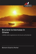 Bismark Quarku Parker - Bruciare la biomassa in Ghana