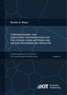 Nicolas A Mayer, Nicolas A. Mayer - Thermodynamik von Kobaltoxid Anodenmaterialien für Lithium-Ionen-Batterien und ihr elektrochemisches Verhalten