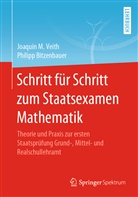 Philipp Bitzenbauer, Joaquin Veith, Joaquin M Veith, Joaquin M. Veith - Schritt für Schritt zum Staatsexamen Mathematik