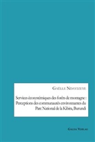 Gaëlle Ndayizeye - Services écosystémiques des forêts de montagne : Perceptions des communautés environnantes du Parc National de la Kibira, Burundi