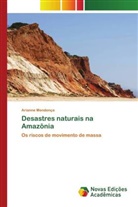 Arianne Mendonça - Desastres naturais na Amazônia