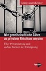 Georg Auernheimer - Wie gesellschaftliche Güter zu privatem Reichtum werden